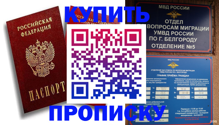 прописка иностранных граждан в Лесозаводске